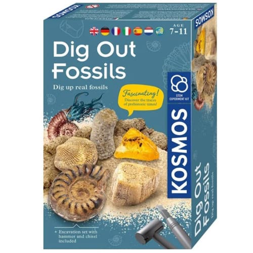 Dig Out Fossils