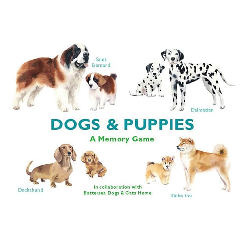 Dogs & Puppies