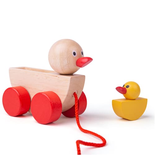 Duck & Duckling