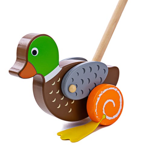 Duck Push Along