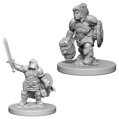 Dungeons & Dragons: Nolzur's Marvelous Unpainted Miniatures: Dwarf Female Paladin (Wave 3)