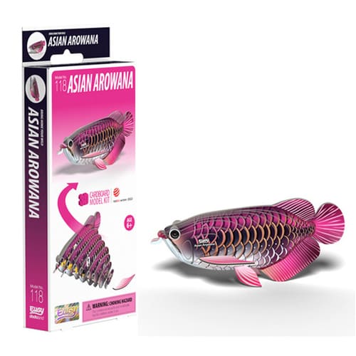 Eugy Asian Arowana