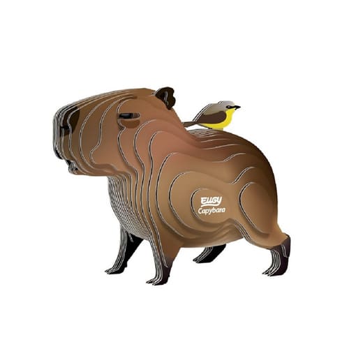 Eugy Capybara