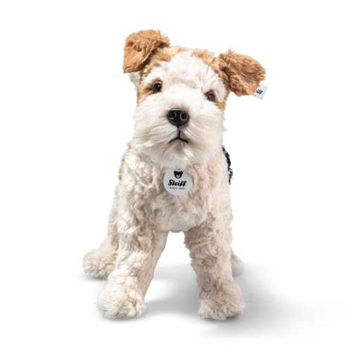 Foxy Fox Terrier, multicoloured