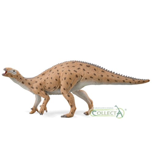 Fukuisaurus - 1:40 Scale