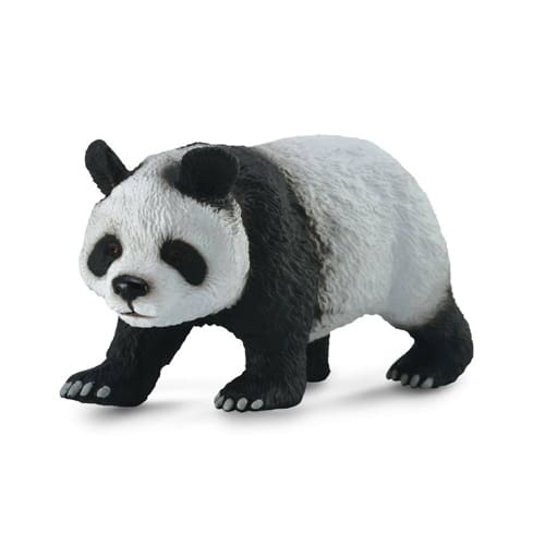 Giant Panda