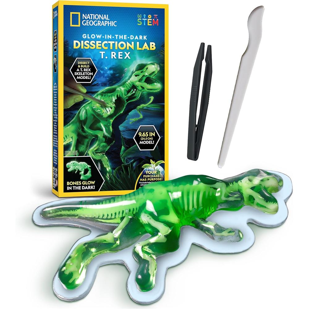 Glow-in-The-Dark T. rex Dissection Kit