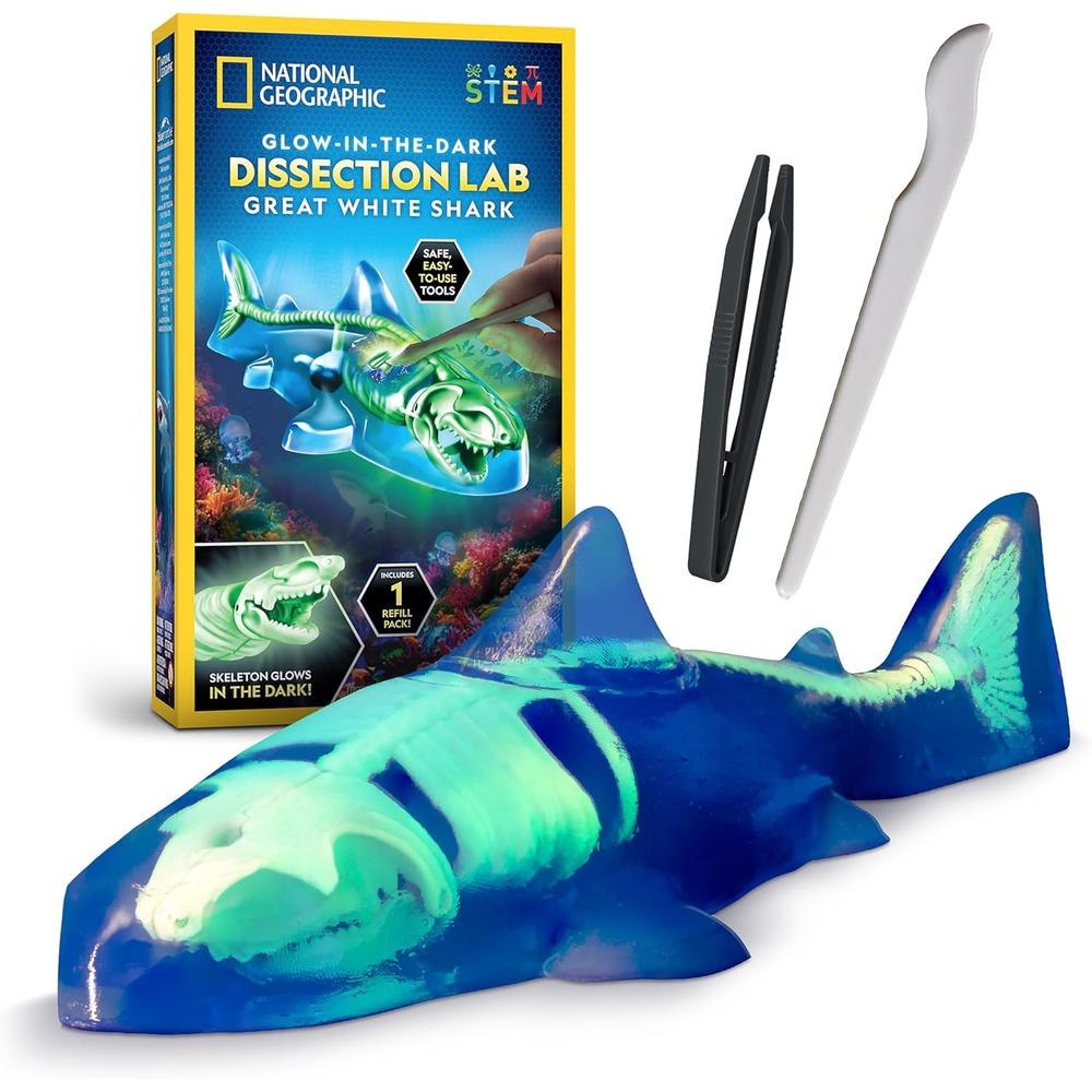 Glow-in-the-Dark Great White Shark Dissection Lab
