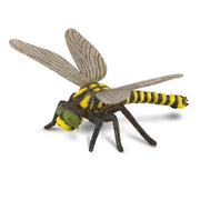 Golden-Ringed Dragonfly