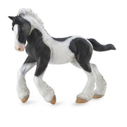 Gypsy Foal Black & White Piebald