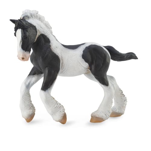 Gypsy Foal Black & White Piebald