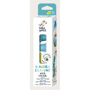 Haku Yoka 6 Acorn Crayons - Cold