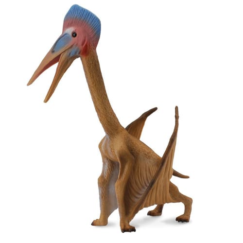 Hatzegopteryx