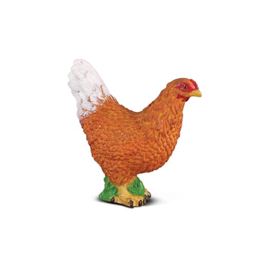 Hen