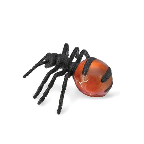 Honeypot Ant