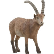 Ibex