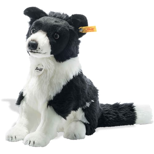 Jaycee Border Collie