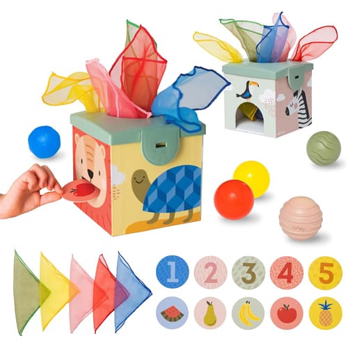 Kimmy Koala Magic Box Activity Toy
