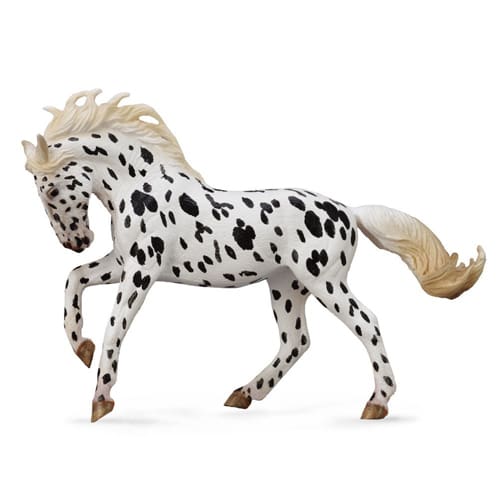 Knabstrupper Mare - Black Leopard