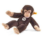 Koko chimpanzee