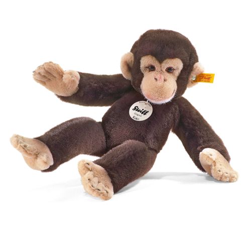 Koko chimpanzee
