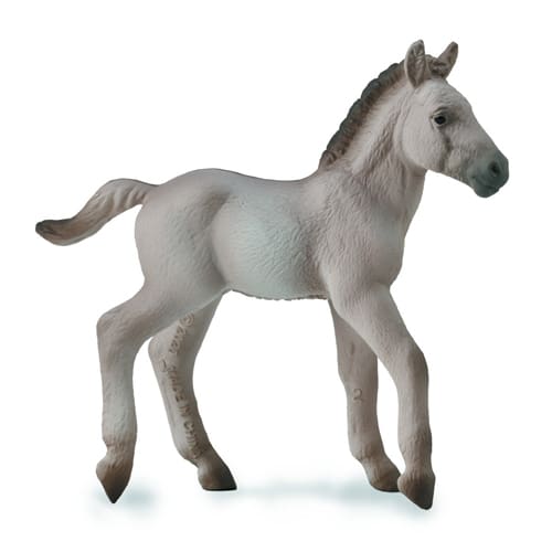 Konik Foal – Blue Dun
