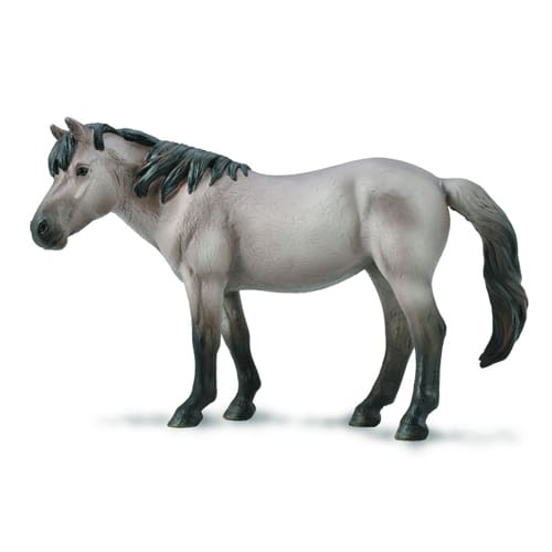 Konik Mare – Blue Dun