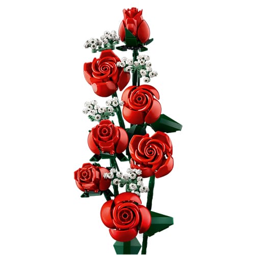 https://www.toystreet.co.uk/wp-content/uploads/2023/12/LEGO-10328-2.jpg