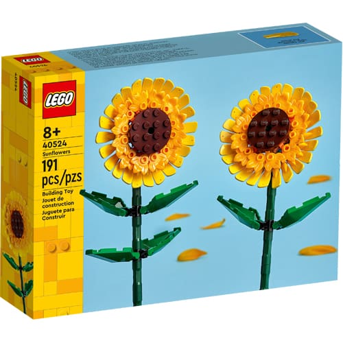 https://www.toystreet.co.uk/wp-content/uploads/2024/02/LEGO-40524.jpg