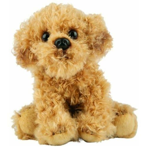Labradoodle Small Sitting