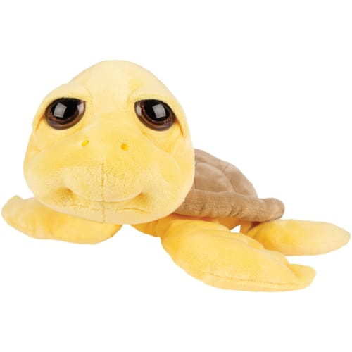 Large Neptune Turtle