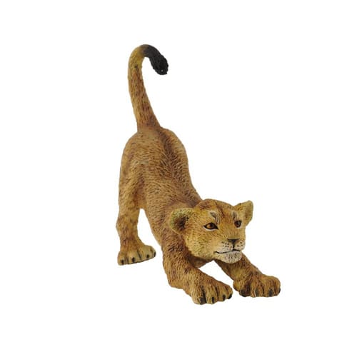 Lion Cub (Stretching)