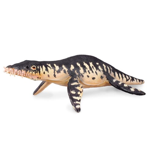 Liopleurodon
