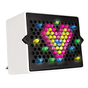 Lite Brite - Mini Assorted (One Supplied)