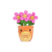 Love Hearts 18cm (7") Blooming Amazing Flowers