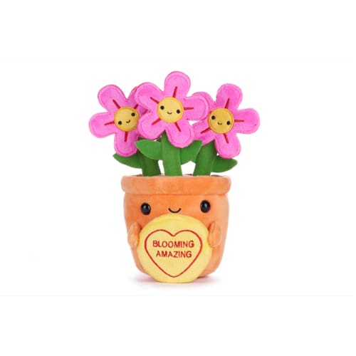Love Hearts 18cm (7") Blooming Amazing Flowers