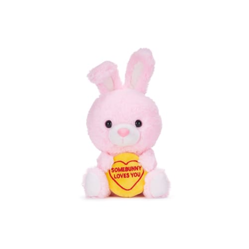 Love Hearts 18cm (7) Somebunny Loves You