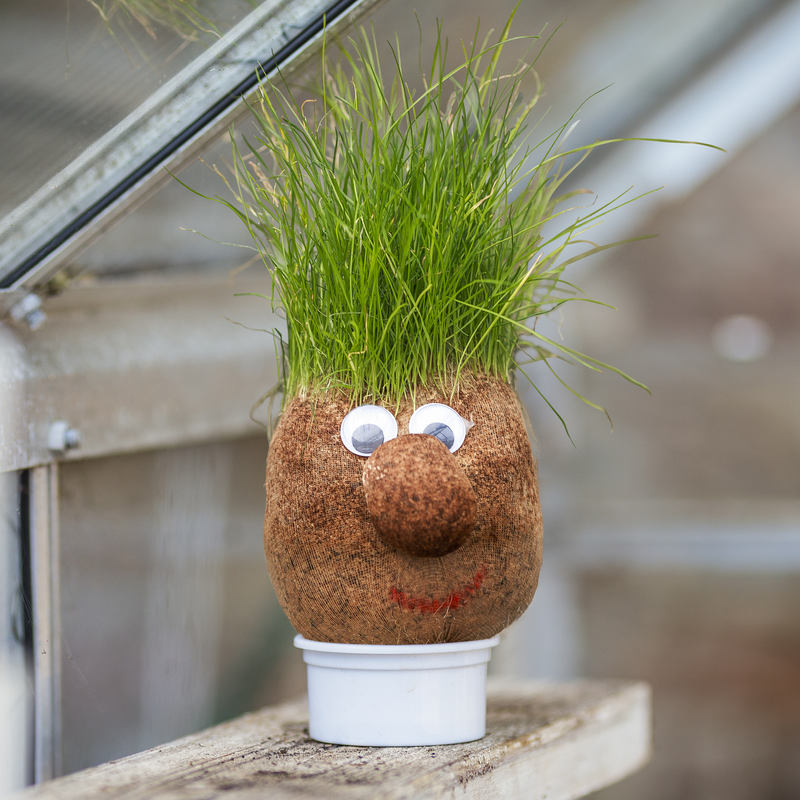 https://www.toystreet.co.uk/wp-content/uploads/2017/11/MR-GRASSHEAD.jpg