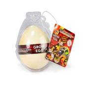 Magic Grow Dinosaur Egg (small)