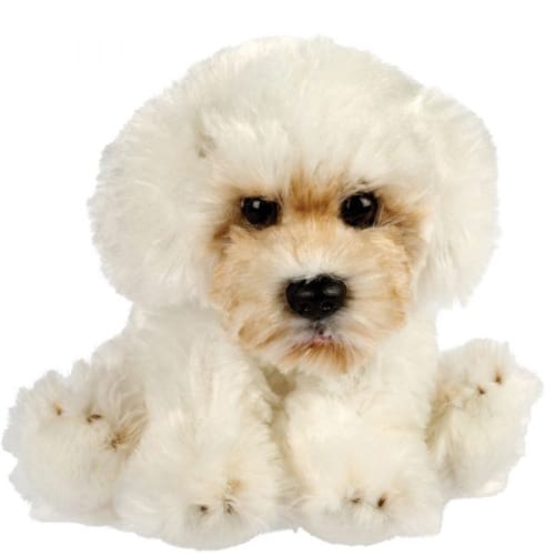 Maltese