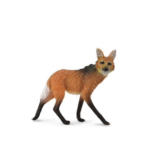 Maned Wolf