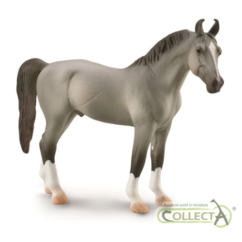 Marwari Stallion - Grey
