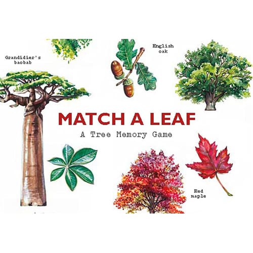 Match a Leaf