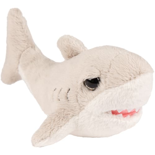 Medium Flossy Shark