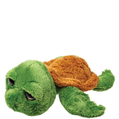 Medium Skipper Turtle