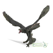 Microraptor- 1:6 Scale