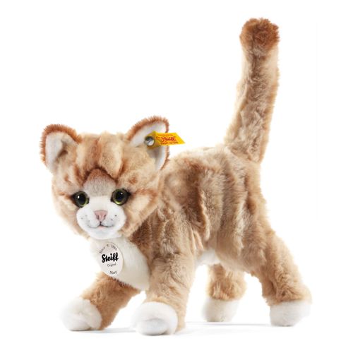 Mizzy cat