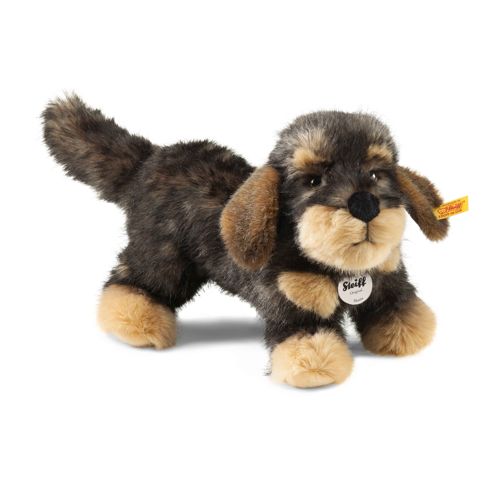 Moritz dachshund