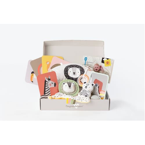 https://www.toystreet.co.uk/wp-content/uploads/2025/02/Newborn-Play-Develop-Kit.jpg