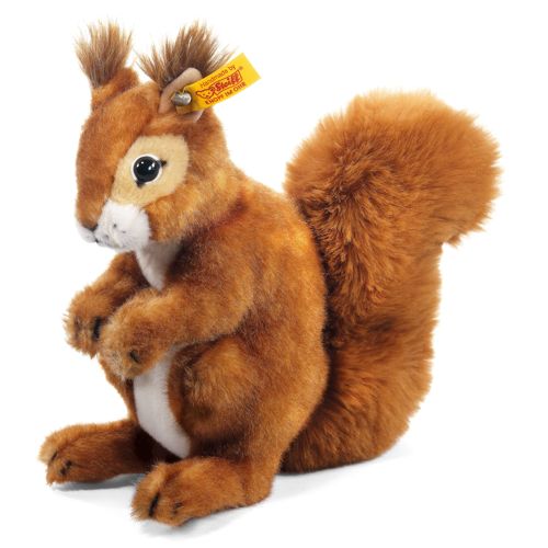 Niki squirrel